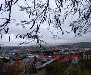 Se espera un descenso en las temperaturas en la mayor parte del territorio nacional.