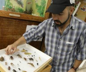 Christian Wildt al explicar sobre la variedad de invertebrados que existen en la capital y el resto del país. Foto: Alejandro Amador / EL HERALDO.