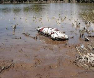 Una de las personas fue hallada en una de las lagunas que se formaron en medio de las calles a causa de las lluvias.