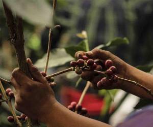 <i>Capturando la esencia de una tradición que perdura a través de generaciones.</i>