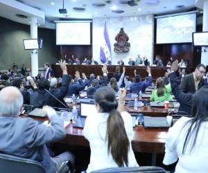 Por Ley, los nuevos comisionados del IAIP son elegidos por 5 años consecutivos.