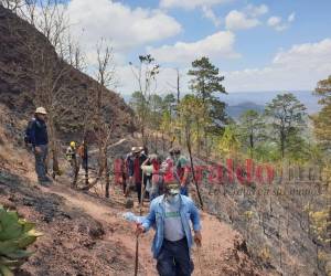 Con herramientas en mano el personal del Instituto de Conservación Forestal (ICF), Fuerzas Armadas, Proyecto Edén, el Comité Ecológico Aldea de Suyapa (Coeas), Copeco, Bomberos y la Alcaldía Municipal mediante el Codem trabajan en la zona.