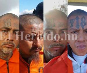 Este martes fueron trasladados 15 reos más a la cárcel El Pozo en Ilama, Santa Bárbara. ...