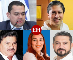 Los sureños acudieron a las urnas el 28 de noviembre para dejar definido quiénes los representarán en el Legislativo los próximos cuatro años.