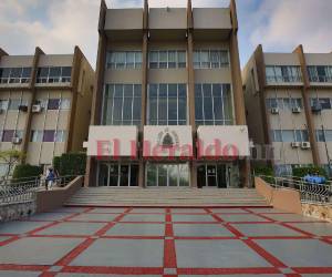 Las siete organizaciones deberán realizar asambleas a nivel nacional a fin de seleccionar a dos representantes, un propietario y un suplente, ante la Junta Nominadora.