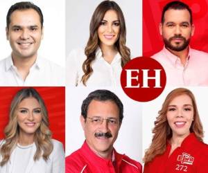 Un total de 10 hombres y 13 mujeres integran la planilla del Partido Liberal a nivel de diputación por el departamento de Francisco Morazán: rostros jóvenes y otros con una larga trayectoria política en el país. ¿Quiénes son? A continuación la lista de acuerdo al orden de la papeleta electoral. FOTOS CORTESÍA.