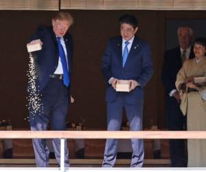 El presidente Donald Trump hace un almuerzo con el primer ministro japonés Shinzo Abe en el Palacio Akasaka en Tokio, Japón. Agencia AP.