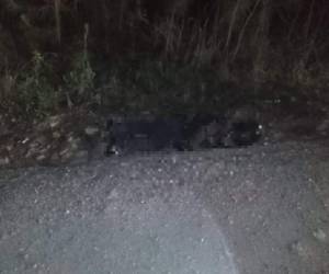 El cuerpo del agente policial quedó sobre la carretera. Foto: Cortesía.