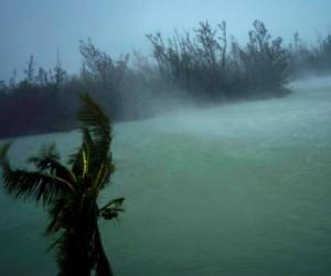 Los fuertes vientos del huracán Dorian soplan las copas de los árboles y se cepillan mientras sacan el agua de la superficie de un canal que conduce al mar, ubicado detrás del arbusto en la parte superior, visto desde el balcón de un hotel en Freeport, Gran Bahama, Bahamas. Foto: AP