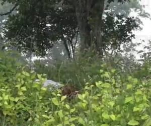 Autoridades policiales llegaron hasta el lugar para acordonar la escena a la espera de Medicina Forense para hacer el levantamiento del cadáver. Foto: Captura de video.