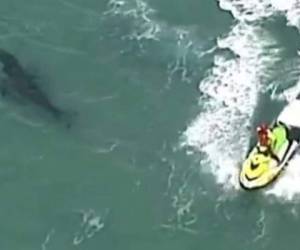 La víctima no ha sido identificada oficialmente, pero probablemente se trata de un residente del estado de Queensland de 60 años. Foto: Cortesía.