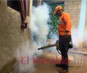 Uno de los trabajos que realizan para combatir el dengue en la capital es la fumigación y aplicación de BTI en las casas capitalinas.