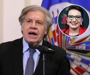 Luis Almagro aseguró que espera trabajar de la mano con Castro en varios temas de suma importancia. Fotos: AFP