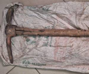 Imagen de referencia de una piocha o pico.