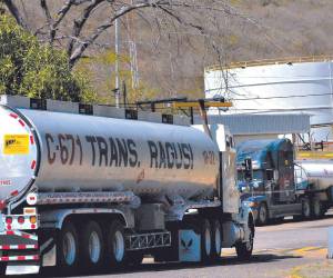 Con el régimen sancionatorio de la ley a los operadores generarán más ingresos por multas a la Tesorería General de la República.