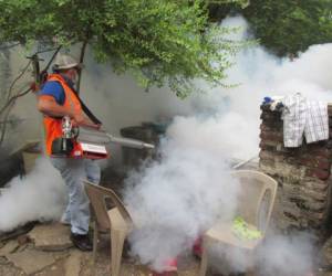 Los operativos de fumigación permiten eliminar el mosquito adulto que se encuentra en las viviendas.