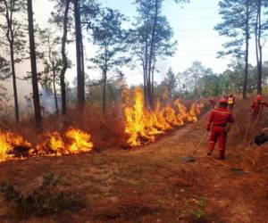 Elementos de la Fuerzas Armadas sofocando las llamas. Foto: EL HERALDO.