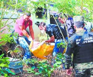 Luego de ser atacado a disparos, el alcalde, gravemente herido, aceleró su vehículo y al perder el control cayó a una hondonada.