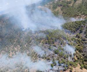 FF AA combaten siete incendios forestales en distintas zonas del país