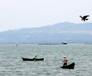 Una de las atracciones turísticas de el Lago de Yojoa es la oportunidad de navegar en una lancha para poder observar la biodiversidad del lugar.