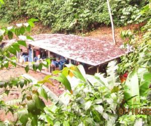 Tres estructuras de madera eran utilizadas para el procesamiento de pasta de cocaína.
