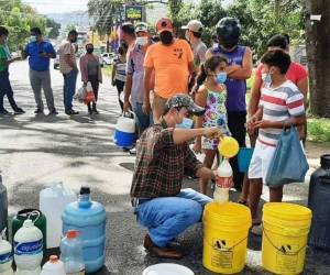A los productores de leche se les paga 8 lempiras por litro.