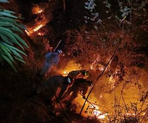 El Cuerpo de Bomberos de Honduras trata de apagar el incendio en la zona.