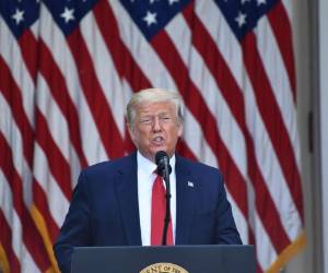 US President Donald Trump delivers remarks on protecting seniors with diabetes during an event in the Rose Garden of the White House in Washington, DC on May 26, 2020. (Photo by Brendan Smialowski / AFP)