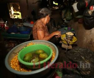 Las familias buscan todo lo que hallan para comer, el poco maíz que les queda lo economizan para poder sobrevivir unas semanas más. Foto: David Romero/El Heraldo