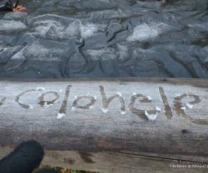 Esta es una de las fotografías de la nieve que cubrió ciertas áreas en la cordillera del Naranjo.