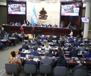 La bancada del Partido Liberal más allá de las alegaciones pidió que los policías que se retiren lo hagan con todos su derechos.