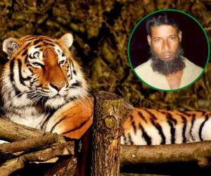 Bagh Shikari había elegido como coto de caza los manglares de los Sunderbans, que se extienden sobre más de 10,000 kilometros cuadrados.