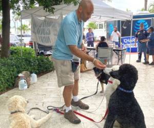 El voluntario de United Cajun Navy Jay Harris alimenta a los perros que trajo para terapia en Surfside, Florida, el 28 de junio de 2021. AFP.
