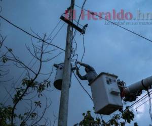 Otro apagón registrado el martes fue atribuido a una iguana que hizo contacto con una barra de 115,000 voltios, dejando a aproximadamente a 100,000 personas sin electricidad. AP
