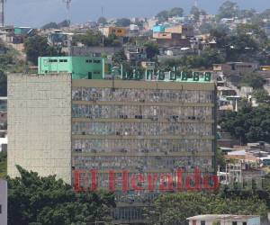 La declaratoria de emergencia alimentaria no contempla a otras instituciones del rubro de la producción agrícola, solo al Banco Nacional de Desarrollo Agrícola.