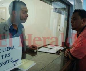 Actualmente los consulados de Honduras en Estados Unidos llena de manera gratuita los formularios para la reinscripción del TPS. Foto: EL HERALDO