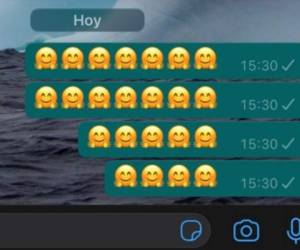 Los emojis de WhatsApp se actualizan constantemente. Foto: El Heraldo