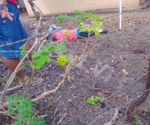 Hasta el momento se desconocen las causas que originaron el ataque, así como el paradero del o los responsables del crimen.