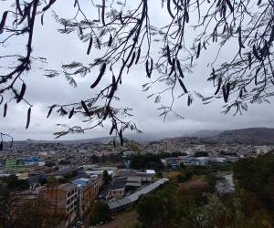 La temperatura más baja se experimentará en Intibucá, con 14 grados; y las más cálidas serán en Choluteca y Valle, donde el termómetro marcará los 36 grados.