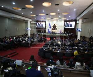 Rivera Callejas aclaró que la iniciativa no está dirigida contra el gobierno entrante, sino que plantea una regulación de carácter permanente.