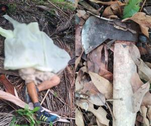 Bajo los efectos del alcohol, un hombre habría asesinado a su padrastro propinándole al menos tres heridas con un arma blanca tipo hacha.
