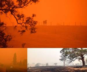 Un descenso en las temperaturas y vientos más tranquilos dieron algo de alivio el domingo a localidades de Australia azotadas por incendios forestales, mientras el cielo se observaba rojizo. Fotos: Agencia AFP.