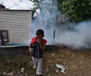 La vicepresidenta Rosario Murillo dijo a medios oficiales que ante el brote de dengue que afecta a Centroamérica, 'vamos a fortalecer la prevención y atención con todas las acciones de lucha antiepidémica'. Foto ilustrativa. Agencia AFP.