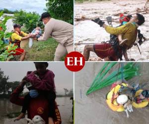 El Cuerpo de Bomberos de Honduras demostró una vez más por qué es una de las instituciones más importantes del país. Esta vez su pelea no fue contra el fuego, sino contra su arma para combatirlo: el agua. Las imágenes de los rescates de las familias por esta benemérita institución, han hecho derramar lágrimas a los hondureños, que se sienten agradecidos con su trabajo.