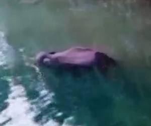 Tras del incidente se desató una ira intensa en el área en las personas que exigen acciones estrictas contra los responsables de este crimen.