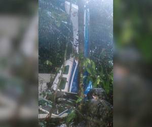 Los radares perdieron el rastro de la aeronave el 1° de mayo, luego de que partiera desde un sector selvático conocido como Araracuara con rumbo a San José del Guaviar.