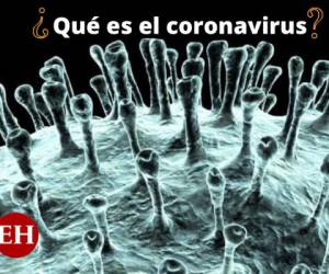 Los coronavirus están vinculados a síndromes respiratorios.