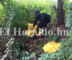 El menor fue encontrado a la orilla del rio Choluteca, donde el hombre abuso sexualmente de él antes de asesinarlo.