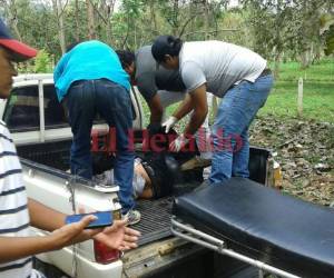 El conductor del vehículo murió antes de llegar al hospital. Foto: EL HERALDO