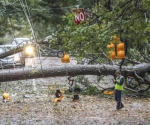 Un árbol de gran tamaño caído sobre West Wesley Road y Habersham Road, que estuvo cortada al tránsito, tras el paso de la tormenta tropical Zeta, el 29 de octubre de 2020, en Atlanta, Georgia. (John Spink/Atlanta Journal-Constitution vía AP).